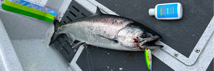 Enhancing Your Salmon Fishing Success: The Power of Scents and Adaptability