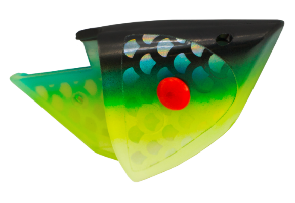 Anchovy Special - Glow