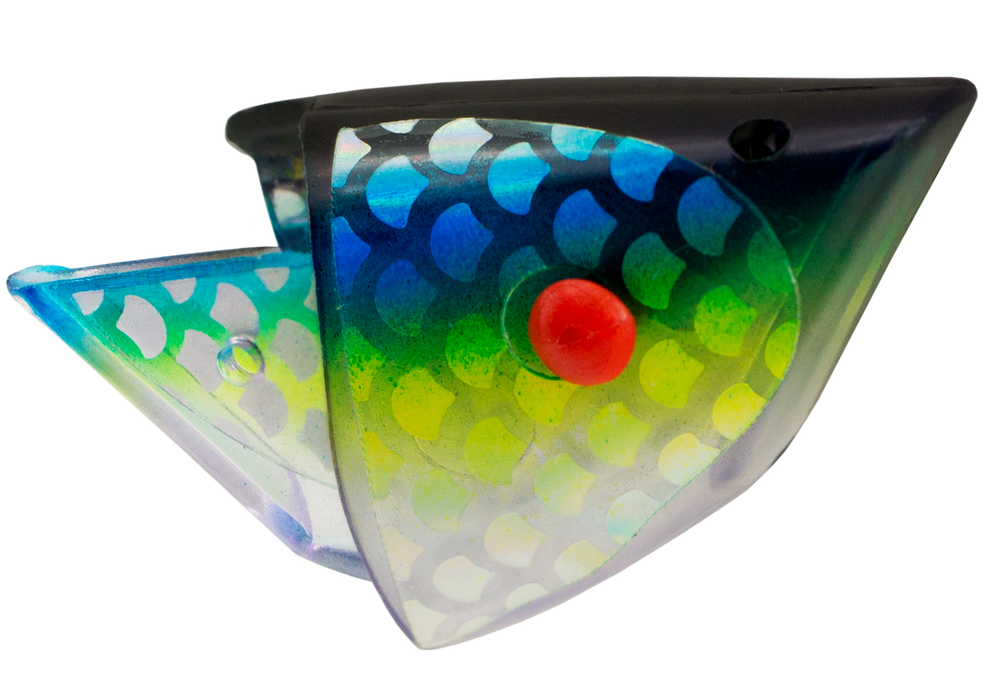 Anchovy Special - UV