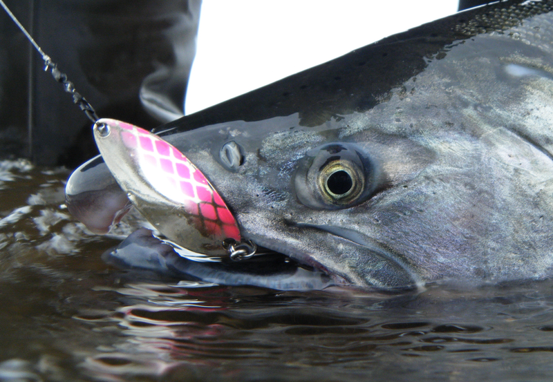 Salmon fishing tools discount